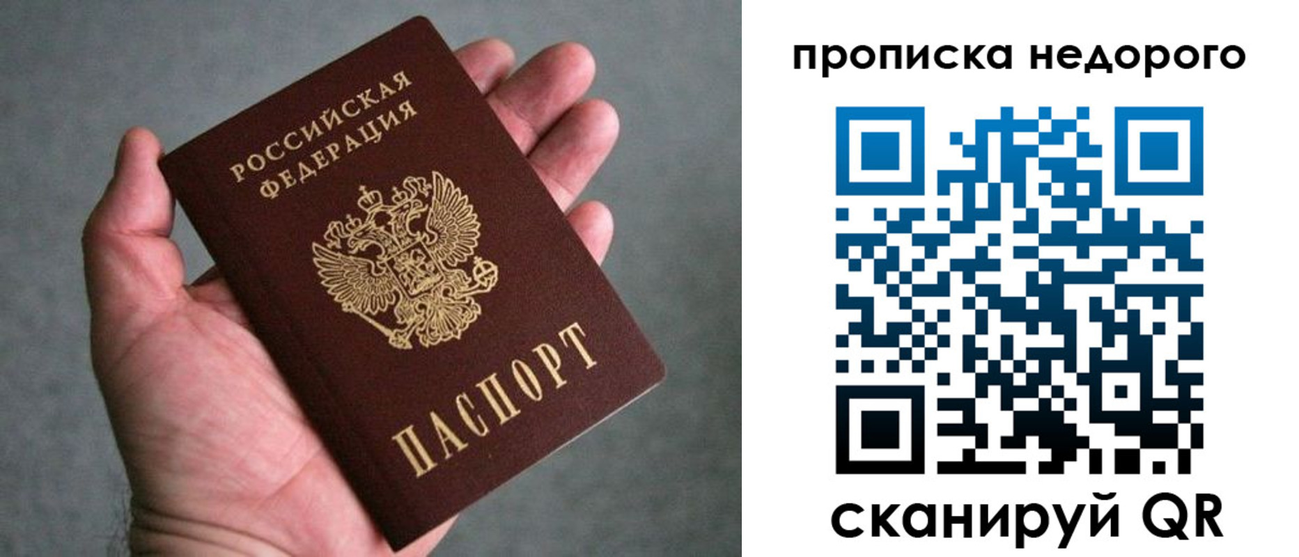 прописка поиск в Зарайске